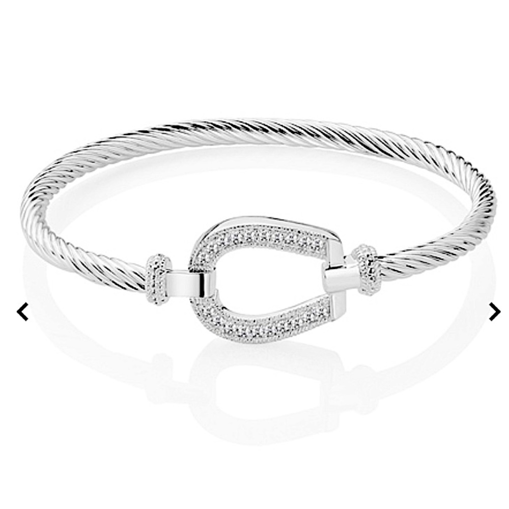 Sterling Silver Horseshoe Design Zircon Twisted Bangle Bracelet - Picture 13 of 13